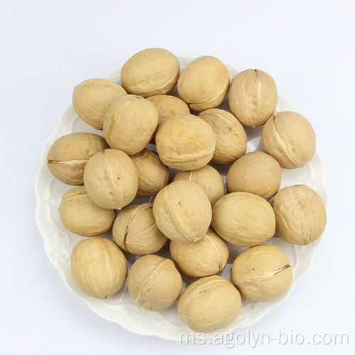 Walnut Xinjiang Dalam Shell mentah pukal berkualiti tinggi